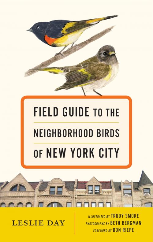 Cover of the book Field Guide to the Neighborhood Birds of New York City by Leslie Day, Don Riepe, Johns Hopkins University Press