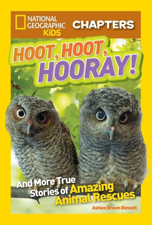 Cover of the book National Geographic Kids Chapters: Hoot, Hoot, Hooray! by Ashlee Brown Blewett, National Geographic Society