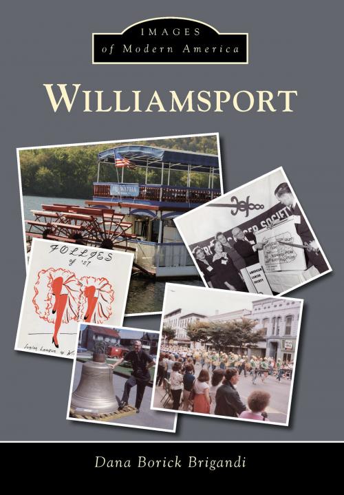 Cover of the book Williamsport by Dana Borick Brigandi, Arcadia Publishing Inc.