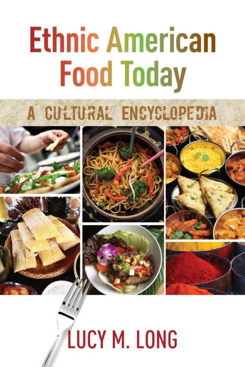 Cover of the book Ethnic American Food Today by Lucy M. Long, Rowman & Littlefield Publishers