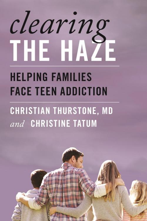 Cover of the book Clearing the Haze by M. D. Thurstone, Christine Tatum, Rowman & Littlefield Publishers