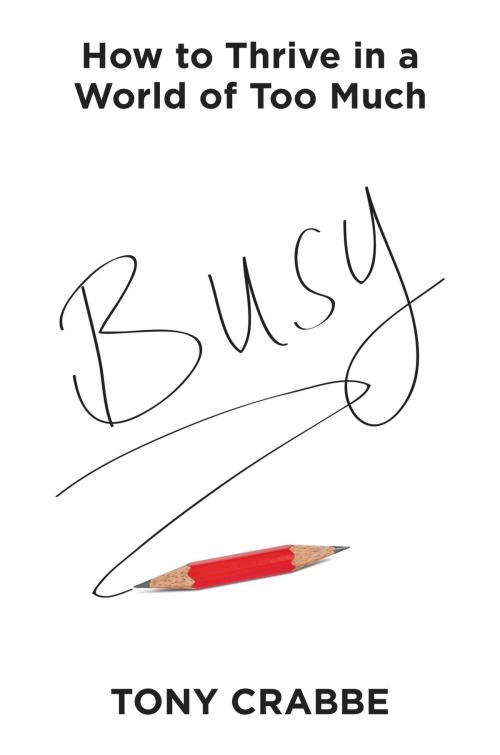 Cover of the book Busy by Tony Crabbe, Grand Central Publishing
