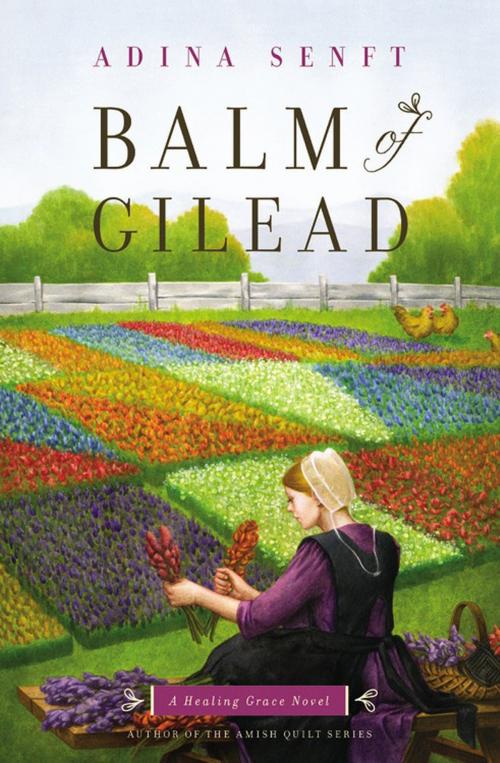 Cover of the book Balm of Gilead by Adina Senft, FaithWords