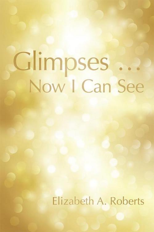 Cover of the book Glimpses … Now I Can See by Elizabeth A. Roberts, Abbott Press