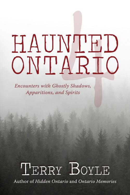 Cover of the book Haunted Ontario 4 by Terry Boyle, Dundurn