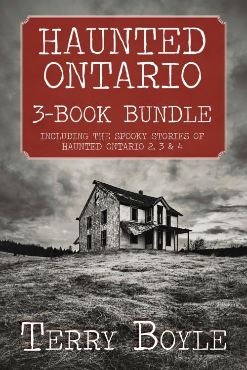 Cover of the book Haunted Ontario 3-Book Bundle by Terry Boyle, Dundurn