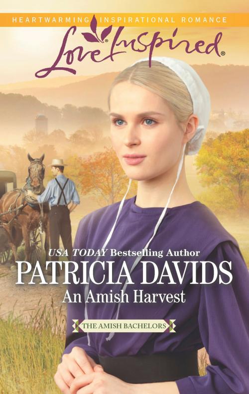 Cover of the book An Amish Harvest by Patricia Davids, Harlequin
