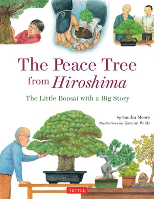 Cover of the book Peace Tree from Hiroshima by Sandra Moore, Tuttle Publishing