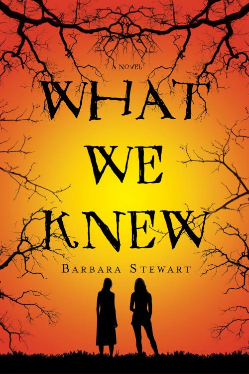 Cover of the book What We Knew by Barbara Stewart, St. Martin's Press