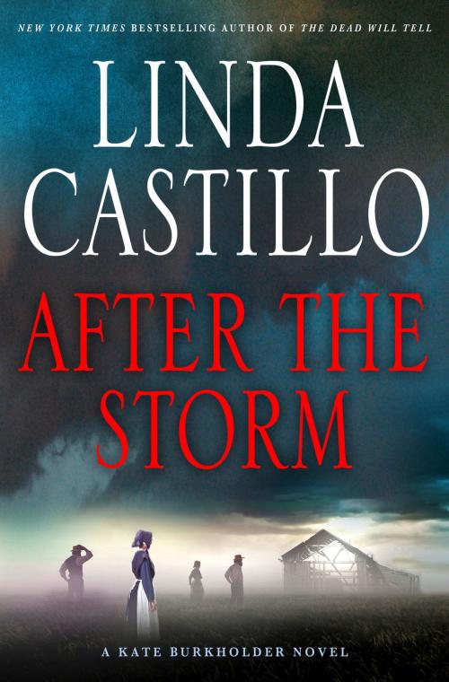 Cover of the book After the Storm by Linda Castillo, St. Martin's Press