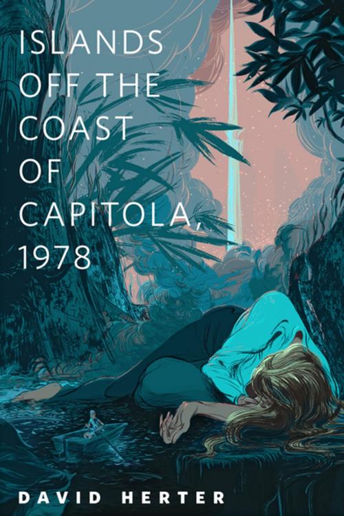 Cover of the book Islands Off the Coast of Capitola, 1978 by David Herter, Tom Doherty Associates
