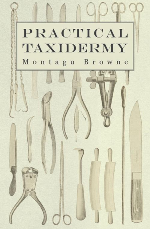 Cover of the book Practical Taxidermy by Montagu Browne, Read Books Ltd.
