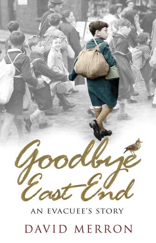 Cover of the book Goodbye East End by David Merron, Transworld