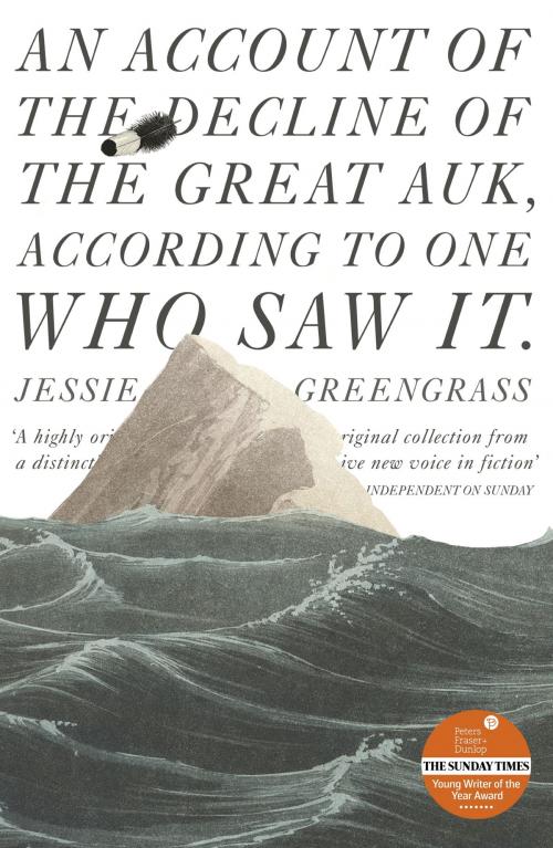 Cover of the book An Account of the Decline of the Great Auk, According to One Who Saw It by Jessie Greengrass, John Murray Press