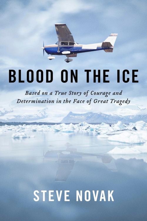 Cover of the book Blood On the Ice by Steve Novak, BookBaby