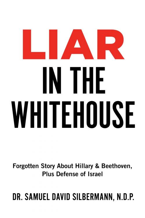 Cover of the book Liar in the Whitehouse by Dr. Samuel David Silbermann, N.D.P., BookBaby