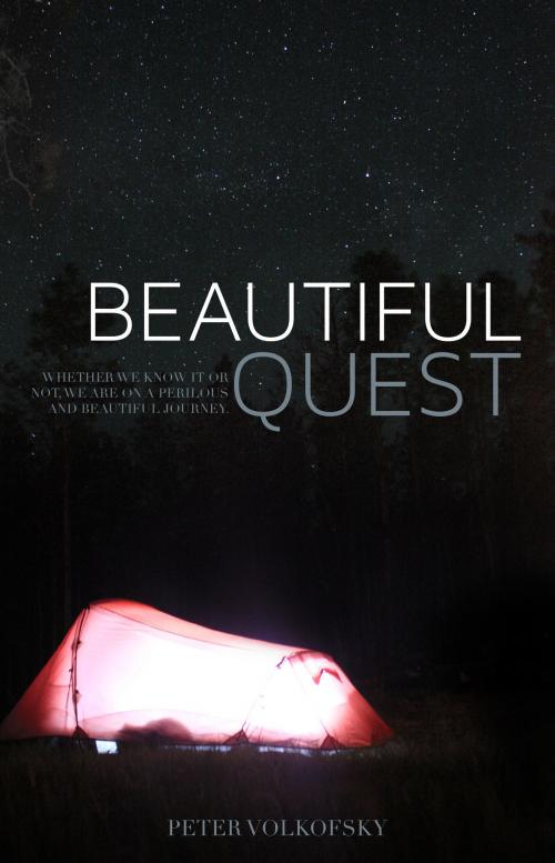 Cover of the book Beautiful Quest by Peter Volkofsky, Ark House Press