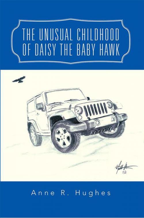 Cover of the book The Unusual Childhood of Daisy the Baby Hawk by Anne R. Hughes, iUniverse