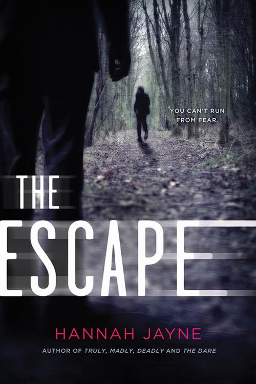 Cover of the book The Escape by Hannah Jayne, Sourcebooks