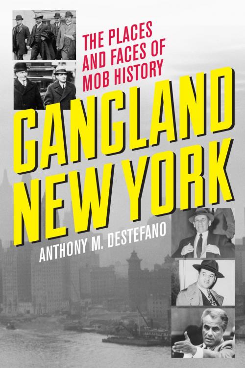 Cover of the book Gangland New York by Anthony M. DeStefano, Lyons Press