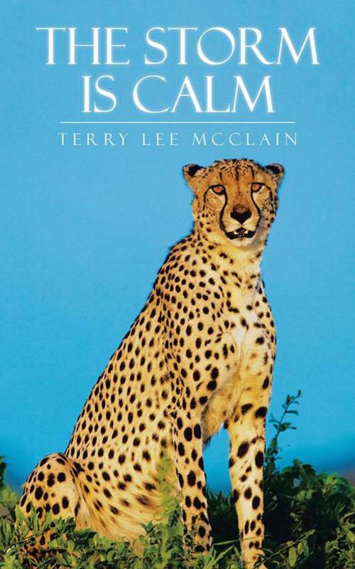 Cover of the book The Storm Is Calm by Terry Lee McClain, AuthorHouse