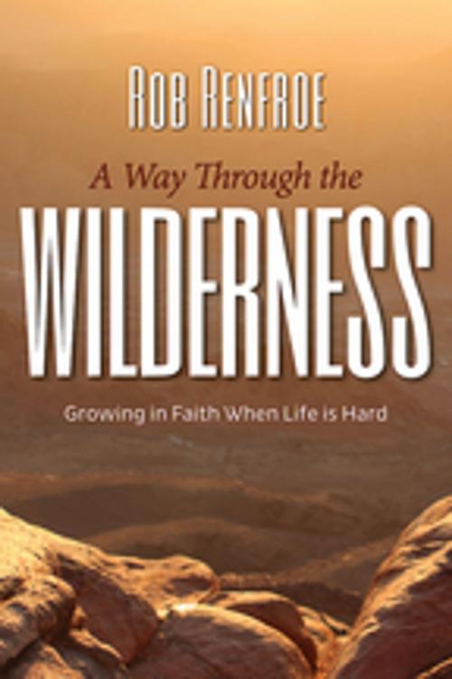 Cover of the book A Way Through the Wilderness by Rob Renfroe, Abingdon Press