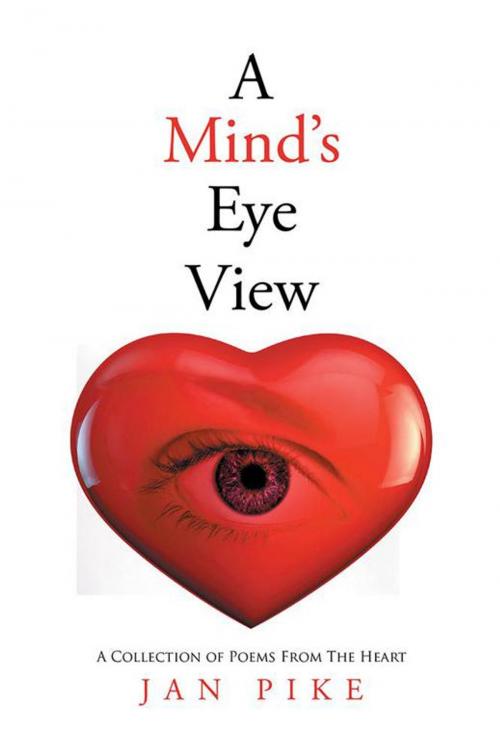 Cover of the book A Mind's Eyeview by Jan Pike, Xlibris AU