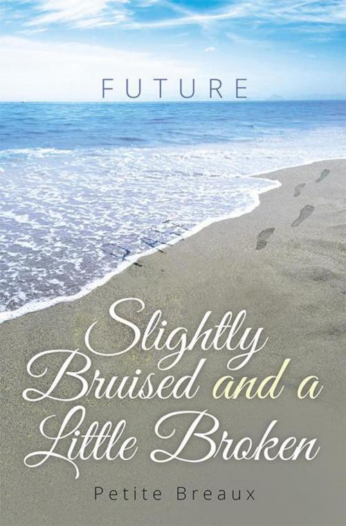 Cover of the book Slightly Bruised and a Little Broken by Petite Breaux, Xlibris US