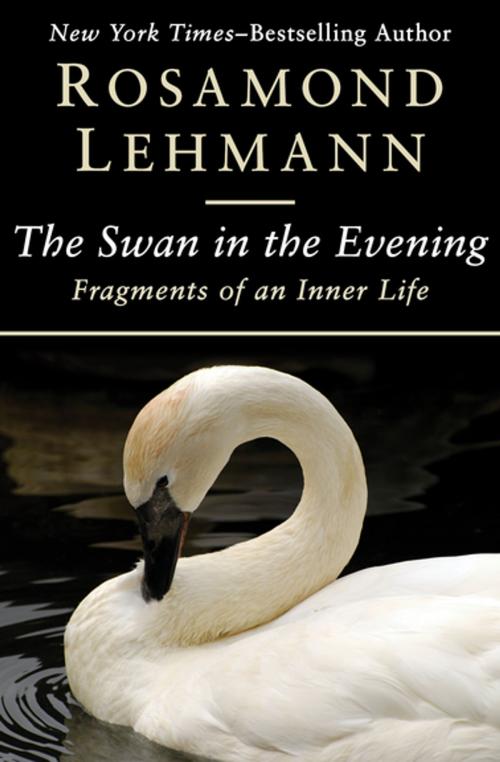 Cover of the book The Swan in the Evening by Rosamond Lehmann, Open Road Media