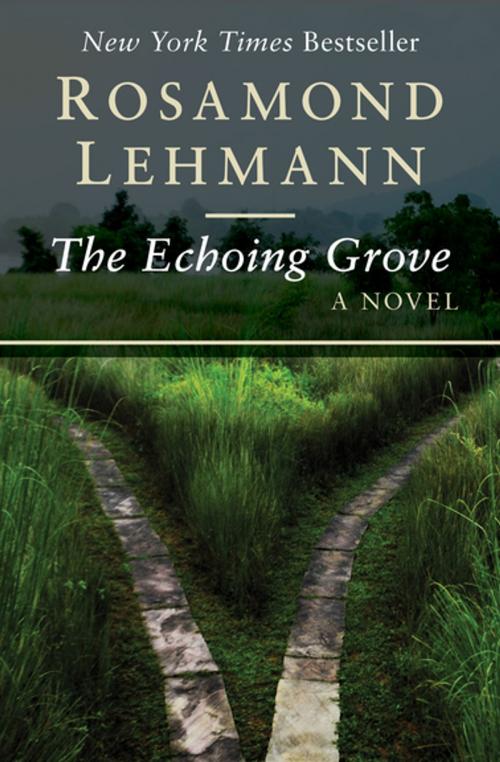 Cover of the book The Echoing Grove by Rosamond Lehmann, Open Road Media
