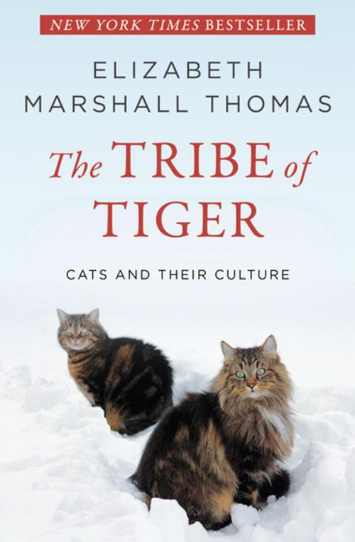 Cover of the book The Tribe of Tiger by Elizabeth Marshall Thomas, Open Road Media