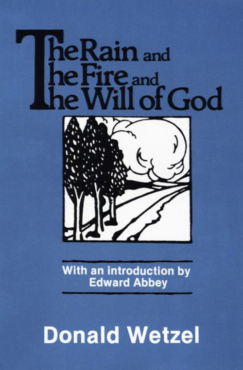 Cover of the book The Rain and the Fire and the Will of God by Donald Wetzel, The Permanent Press