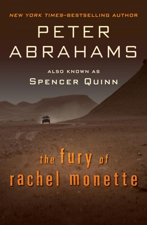 Cover of the book The Fury of Rachel Monette by Peter Abrahams, Open Road Media
