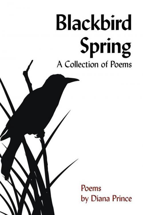Cover of the book Blackbird Spring by Diana Prince, AuthorHouse