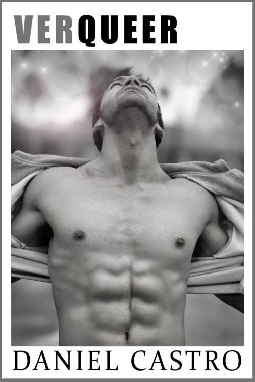 Cover of the book VerQueer: Gay Romantik by Daniel Castro, eBook Media Publishing