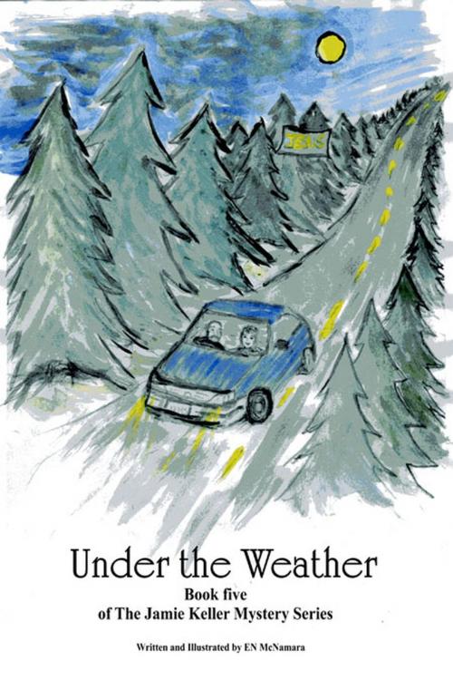 Cover of the book Under the Weather by EN McNamara, EN McNamara