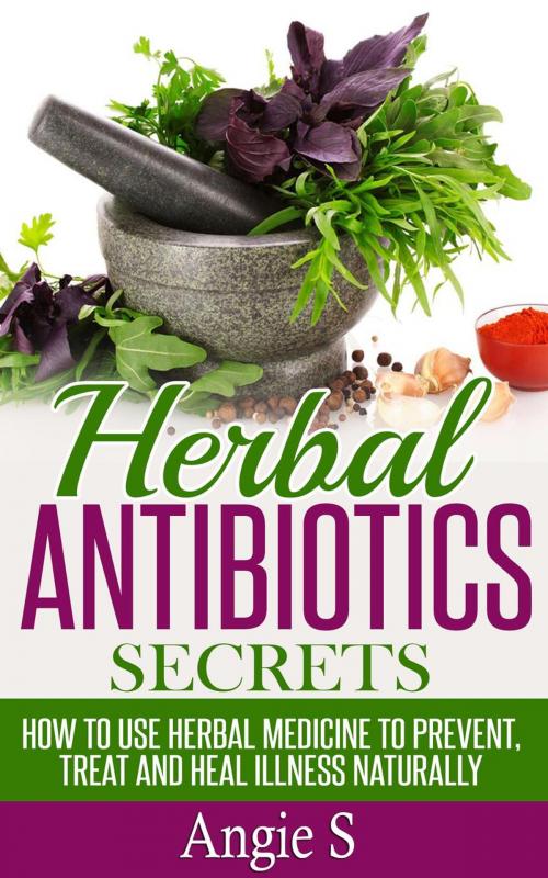 Cover of the book Herbal Antibiotics Secrets by Angie S, Angie S