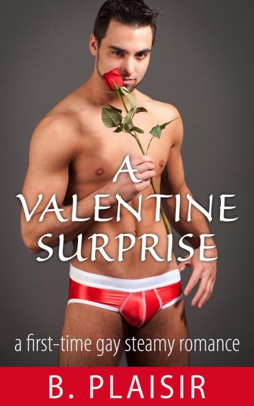 Cover of the book A Valentine Surprise by B. Plaisir, B. Plaisir