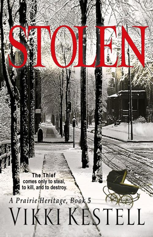 Cover of the book Stolen by Vikki Kestell, Faith-Filled Fiction