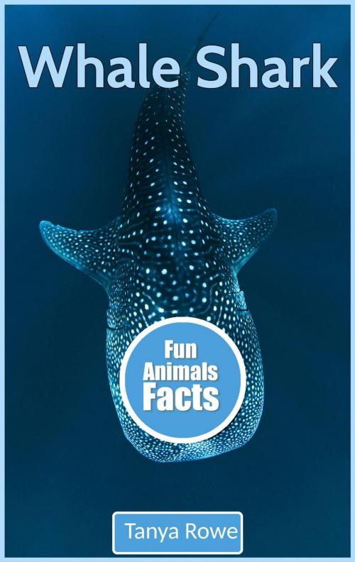 Cover of the book Whale Shark by Tanya Rowe, Tanya Rowe
