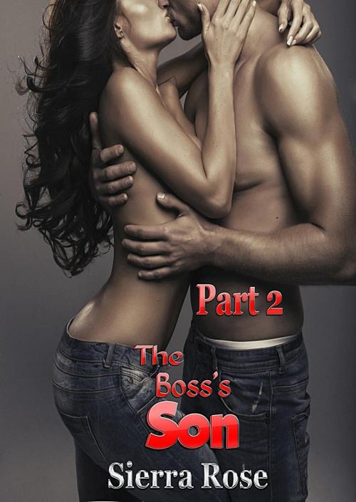 Cover of the book The Boss's Son by Sierra Rose, Dark Shadows Publishing