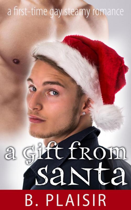 Cover of the book A Gift from Santa by B. Plaisir, B. Plaisir