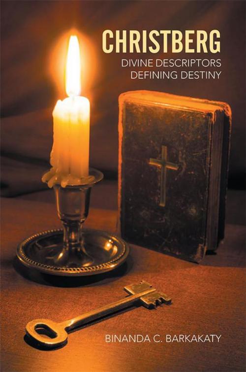Cover of the book Christberg by Binanda C. Barkakaty, Xlibris UK