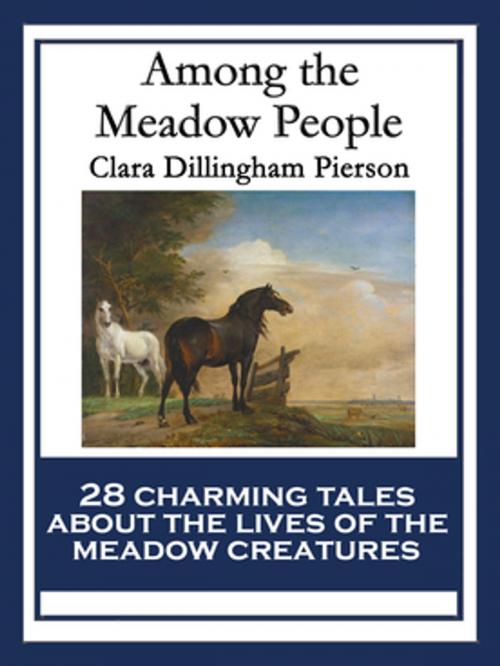 Cover of the book Among the Meadow People by Clara Dillingham Pierson, Wilder Publications, Inc.