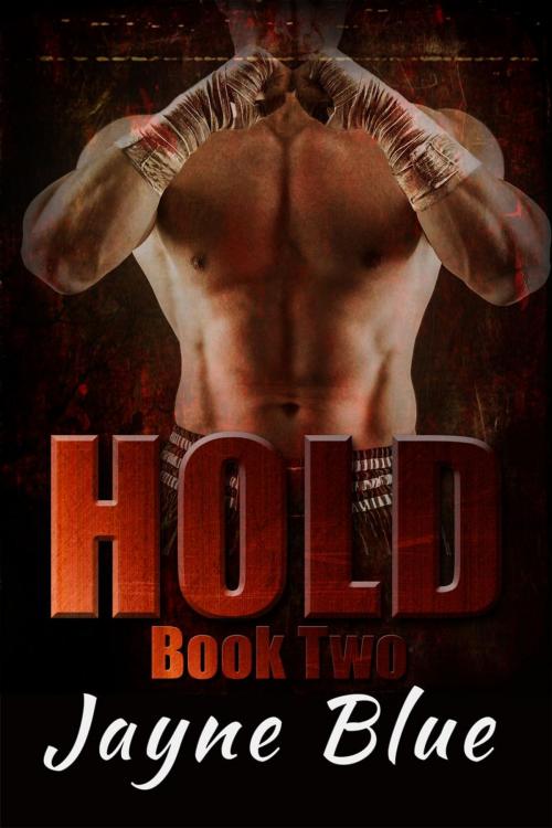 Cover of the book Hold Book 2 by Jayne Blue, Jayne Blue