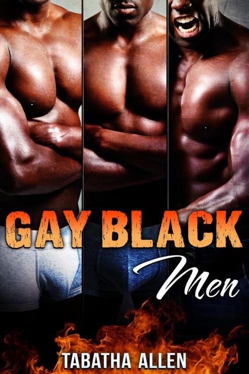 Cover of the book Gay Black Men Bundle by Tabatha Allen, Tabatha Allen