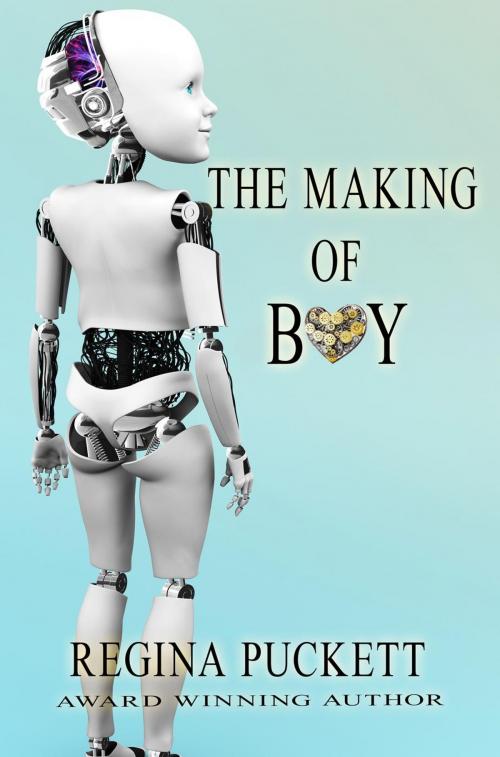 Cover of the book The Making of Boy by Regina Puckett, Regina Puckett