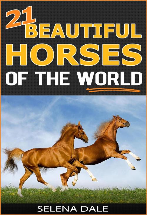 Cover of the book 21 Beautiful Horses Of The World by Selena Dale, Selena Dale