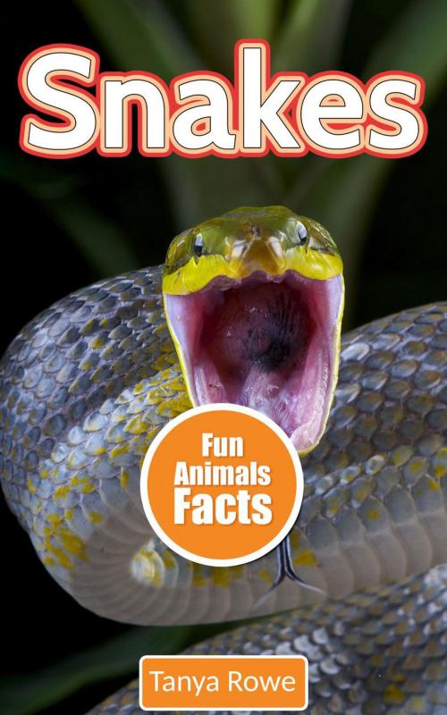 Cover of the book Snakes by Tanya Rowe, Tanya Rowe