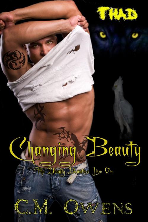 Cover of the book Changing Beauty by C.M. Owens, C.M. Owens